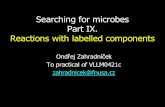 Searching for microbes Part IX. Reactions with labelled ... · Reactions with labelled components •Individual components are bound on the previous components, the first of them