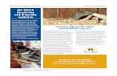 BC SPCA Veterinary Update Issue August 7 · 2017-09-22 · BC SPCA Veterinary Update Issue August 7 spca.bc.ca/veterinarians Fear Free program brings hope to “scaredy” cats (and