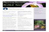 Events - Wild Apricot · Nick Pavey nick@massorchid.org ... resume growth with the winter/spring rains. I am not difficult to find on the low lying coastal plain. I grow in profusion