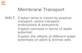 Membrane Transport - WordPress.com · 11.05.2019  · Membrane Transport WALT: Explain what is meant by passive transport, active transport, endocytosis & exocytocis. Explain osmosis