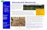 Wonderful Wetlands - UTIA · Wonderful Wetlands Do you know all the wonderful powers of wetlands? A wetland needs three things: soil, plants, and water. The soil in a wetland is saturated