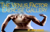 Table of Contents - Venus indexclients.venusindex.com/files/VF/Venus_Factor_Exercise_Gallery.pdf · One Arm Dumbbell Row (Wide) 32 Keep a tight grip on the dumbbell to help pack the