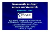 Salmonella in Eggs: Issues and Research - USDA ARS · 2006-07-06 · The association of eggs with human Salmonella enteritidis and S. heidelberg infections: 80% of human S. enteritidis