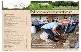 N’ewesletter€¦ · The 2016 Sheep Industry Projections state there is a larger sheep flock and a 750,000 head increase in the number of lambs expected to be processed in 2016