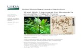 Weed Risk Assessment for Hygrophila pinnatifida (Dalzell ... · Weed Risk Assessment for Hygrophila pinnatifida Ver. 1 January 28, 2015 2 cultivated aquatic plant (Pedersen, 2010).