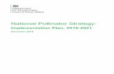 National Pollinator Strategy - gov.uk · The National Pollinator Strategy (NPS) is a 10 year plan published in November 2014, developed after a thorough review of the evidence base