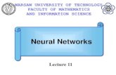 Prezentacja programu PowerPointmacukow/wspolne/nn/Lecture11.pdf · * source: R.Tadeusiewicz Odkrywanie właściwości sieci neuronowych, PAU Kraków 2007 Network structure Using too