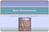 Basic Biomechanics - MERITMechanics Kinematics- Translation-When all parts of a “body” move in the same direction as every other part Rectilinear motion = straight line motions