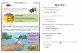lethbridgeschool.org.uk...Minibeasts can be found in mang different habitats - under logs and rocks, in soil beneath our feet, in piles Of leaves, grass, ponds, bushes, trees or even