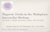 Magnetic Fields in the Multiphase Interstellar Mediummizuno/plastro/Final/Presentation2-1.pdf · Magnetic Fields in the Multiphase Interstellar Medium Carl Heiles · Marijke Haverkorn