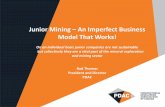 Junior Mining An Imperfect Business Model That Works!€¦ · Junior Mining –An Imperfect Business Model That Works! On an individual basis junior companies are not sustainable