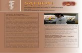 SAFRON...2020/05/20  · documented and understood by the entire treatment team. Footnote 1: Guidance on prevention of unintended and accidental radiation exposures in nuclear medicine,