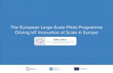 The European Large-Scale Pilots Programme Driving IoT ......platforms, stakeholders, information and applications as part of integrated ecosystems . and new IoT driven business models.