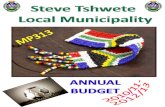 STEVE TSHWETE LOCAL MUNICIPALITY budget document … · STEVE TSHWETE LOCAL MUNICIPALITY ANNUAL BUDGET 2010/2011 – 2012/2013 INDEX Description Page Abbreviation of funding sources