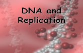 DNA and Replication - Shaltry's Biology Zonebiozone.weebly.com/uploads/2/7/4/2/274298/chapter_12_dna.pdf · 2018-10-12 · DNA replication1, DNA replication 2. 37 DNA Replication