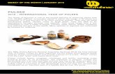 MUHNAC-objectoMes-EN-Jan2016 of... · 2018-07-18 · PULSES 2016 - INTERNATIONAL YEAR OF PULSES The family of legumes is one of the largest families of flowering plants with over
