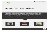 +91-8048736532 - Jaipur Bio FertilizersJaipur Bio Fertilizers is a Modern Agriculture Company. We believe Organic Inputs has the potential to bring humanity’s needs in balance with