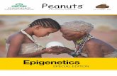 Epigenetics - Microsoft · A wide range of environmental factors such as nutrition, stress and environmental toxicants can directly alter epigenetic programming during development