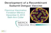 Development of a Recombinant Subunit Dengue Vaccine · Recombinant Subunit Dengue Vaccine •Hawaii Biotech originally developed subunit vaccine based on carboxy truncated envelope