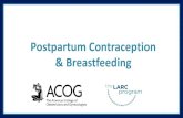Immediate Postpartum Contraception...Provision of immediate postpartum contraception can extend interpregnancy intervals o70% of pregnancies are unintended in the first year postpartum