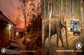 A RENDEZVOUS WITH THE WILD. - Best jungle lodges in India · 2015-04-02 · A RENDEZVOUS WITH THE WILD. India’s largest chain of wildlife and nature resorts Jungle Lodges & Resorts