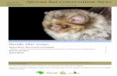 African Bat Conservation News vol. 27 · African Bat Conservation News ISSN 1812-1268 4 February 2013 vol. 30 Recent Literature two possible processes, depending on the method used.