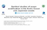 Sentinel studies of ocean acidification in the Arctic ... · Sentinel studies of ocean acidification in the Arctic Ocean and Japanese coasts Naomi Harada1, Katsunori Kimoto1, Jun