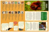 CHESTER IS THE WORLD’S FIRST SUSTAINABLE …...CHESTER IS THE WORLD’S FIRST SUSTAINABLE long-term survival of many iconic species. We PALM OIL CITY! In September 2017, the zoo