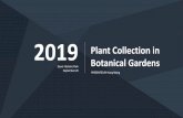 2019 Plant Collection in Botanical Gardens collection in botanical... · Seoul Botanic Park September 26 Plant Collection in Botanical Gardens PRESENTED BY Kang Wang. PART 1 Botanical