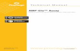 AMP-Glo Assay Technical Manual TM384 - Promega · The AMP-Glo™ Assay(a) is a homogenous assay that generates light signal from any reaction that produces AMP as a reaction product.