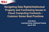 Navigating Data Rights/Intellectual Property and ... Hot...2 Commercial Cloud Computing Acquisitions • DoD Policy • “Supplemental Guidance for the Department of Defense’s Acquisition