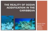 The reality of Ocean Acidification in the Caribbean · THE REALITY OF OCEAN ACIDIFICATION IN THE CARIBBEAN ... the world‟s coral reefs and 12,000 marine species. (1) BACKGROUND: