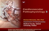 Cardiovascular Pathophysiology 3patfyz.medic.upjs.sk/estudmat/Benacka - Cardiology 3 Arrhythmia.pdf · •Long QT syndrome-3 •Cardiomyopathy, dilated, 1E •Atrial fibrillation,