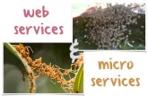 7 - Web Services & Microservices · micro services & s. learn about web services and their underlying technologies learn about architectures based on micro services learn how those