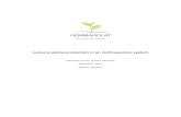Lactuca sativa production in an Anthroponics system sativa... · three anthroponic systems and collecting urine samples from one healthy individual. The objective was to calculate