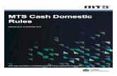 MTS Cash Domestic Rules - Ministerstvo financí České ... · authority), market rules and / or market conventions, as applicable from time to time in the relevant jurisdiction;