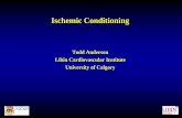 Todd Anderson Libin Cardiovascular Institute University of ...€¦ · Libin Cardiovascular Institute University of Calgary . Disclosures •Department of Cardiac Sciences and Libin