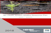 BC Health System Wildfire Response Plan · 2019-08-20 · BC Health System Wildfire Response Plan . Version 1 – June 2018 . ... MoH Leadership Provincial Health Officer Responding