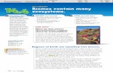 KEY CONCEPT Biomes contain many ecosystems. · gories: freshwater biomes and saltwater biomes. Plants have a role as producers in the water biomes that are closely surround-ed by