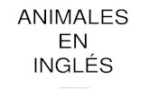 ANIMALES EN INGLÉS - Imagenes Educativas€¦ · ANIMALES EN INGLÉS  DOG [dog]  CAT [cat]