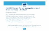 MAES Pilot on forest ecosystems and their services -Outlook · 2016-08-16 · •FOREST EUROPE Workshop on Valuation of Forest Ecosystem Services •Belgrade, Serbia, 24-25 September