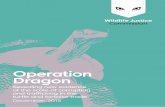Operation Dragon - wildlifejustice.org · 02 Indian star tortoise Geochelone elegans 9 20 5 9 12 55 03 Radiated tortoise Astrochelys radiata 4 6 2 2 6 20 04 Indian softshell turtle