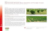 Plants Agroscope Fact Sheet | No. 83 / 2018 Agroscope ...€¦ · white clover ir/er 2 antilope 1995 5 pardus 2006 7 apis 2000 ir 3 ibex 2000 5 paradisia 2007 7 bombus 2000 ir/er