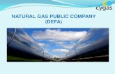 NATURAL GAS PUBLIC COMPANY (DEFA) DEFA 19.4.1… · 2.Submarine Gas Pipelines In order to bring the Natural Gas to Cyprus, from the Gas Fields, a 180-200km submarine gas pipeline