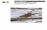 U.S. Fish & Wildlife Service American Woodcock...Research Center, 11510 American Holly Dr., Laurel, MD 20708-4002 (rebecca_rau@fws.gov). Abstract:The American Woodcock (Scolopax minor)