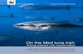 On the Med tuna trail - Pandaassets.panda.org/downloads/on_the_med_tuna_trail_2010.pdf · pioneering Atlantic bluefin tuna tagging project in 2008. On the Med tuna trail gathers empirical