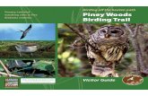 Birding off the beaten path watching sites in five Piney Woods Birding …alexandramurphy.com/AlexandraMurphy/Interpretive_Media... · 2014-04-09 · The Piney Woods Birding Trail