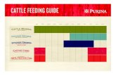 Lifestyle Cattle Feeding Chart - Purina Mills · Lifestyle Cattle Feeding Chart.pdf 1 2/11/14 8:37 AM. CATTLE FEEDING GUIDE Based on 500 lb. stocker animal. Due to factors outside