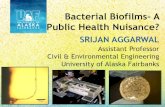 Bacterial Biofilms- A Public Health Nuisance?...Biofilms In Drinking Water Distribution Systems National Science Foundation. 2018-23. CAREER: Fundamental Investigation of Biofilm Mechanical