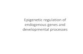 Epigenetic regulation of endogenous genes and ... · Epigenetic control of flowering time Some plants require a prolonged cold period ( vernalization ) - as experienced during winter,